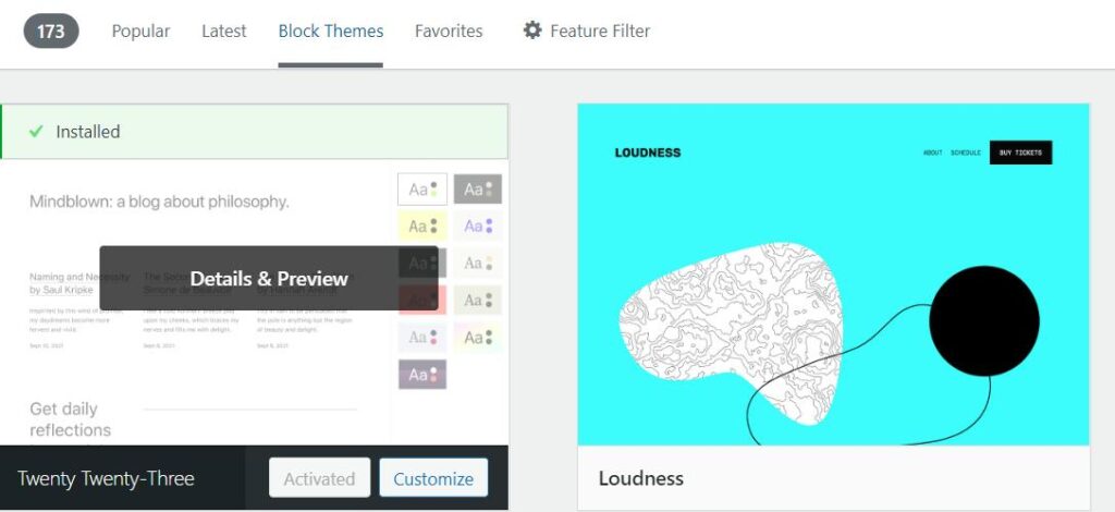 Block Theme Filters - WordPress 6.1 Update