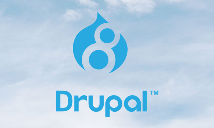 Essential Drupal modules for a top-notch website