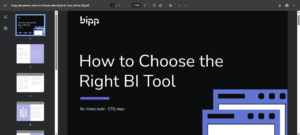 Bipp.io content offer e-book PDF snapshot
